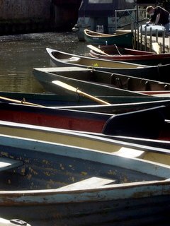 Rowing boats (and one canoe) at Farncombe Boat House